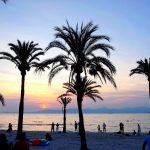 Spain Travel diary | Solo trip to Palma de Mallorca